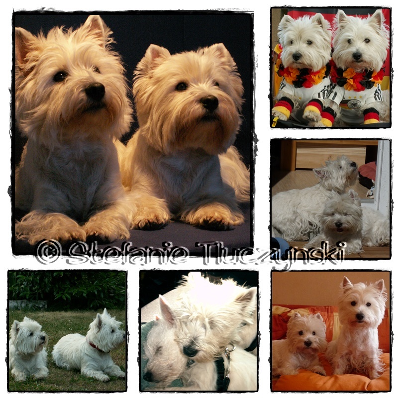 Collage von Maya und Carlotta