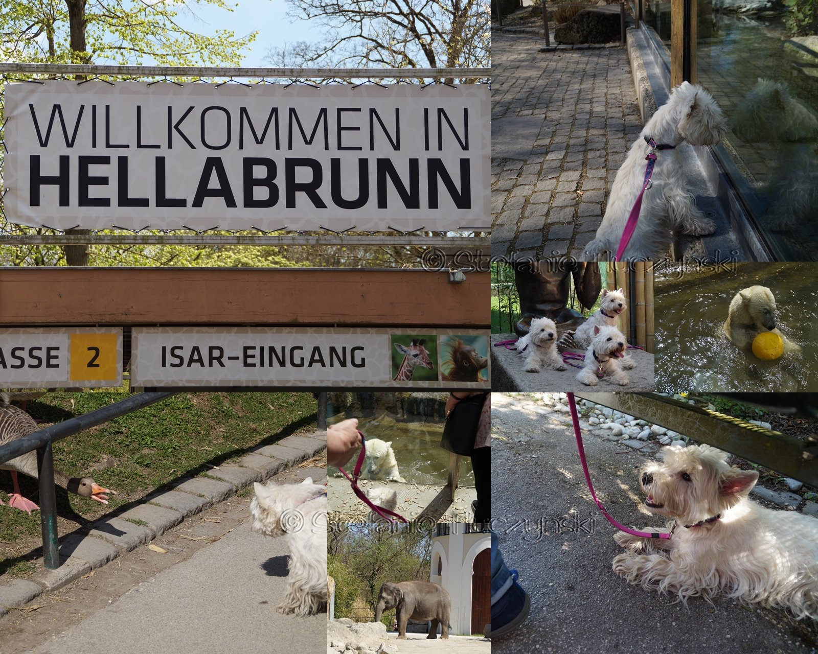 Unser Besuch in Hellabrunn