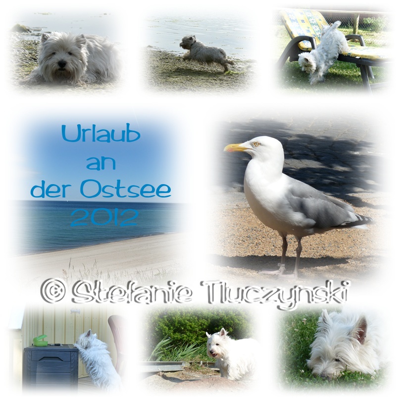 Ostsee 2012