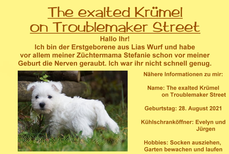 Krümel