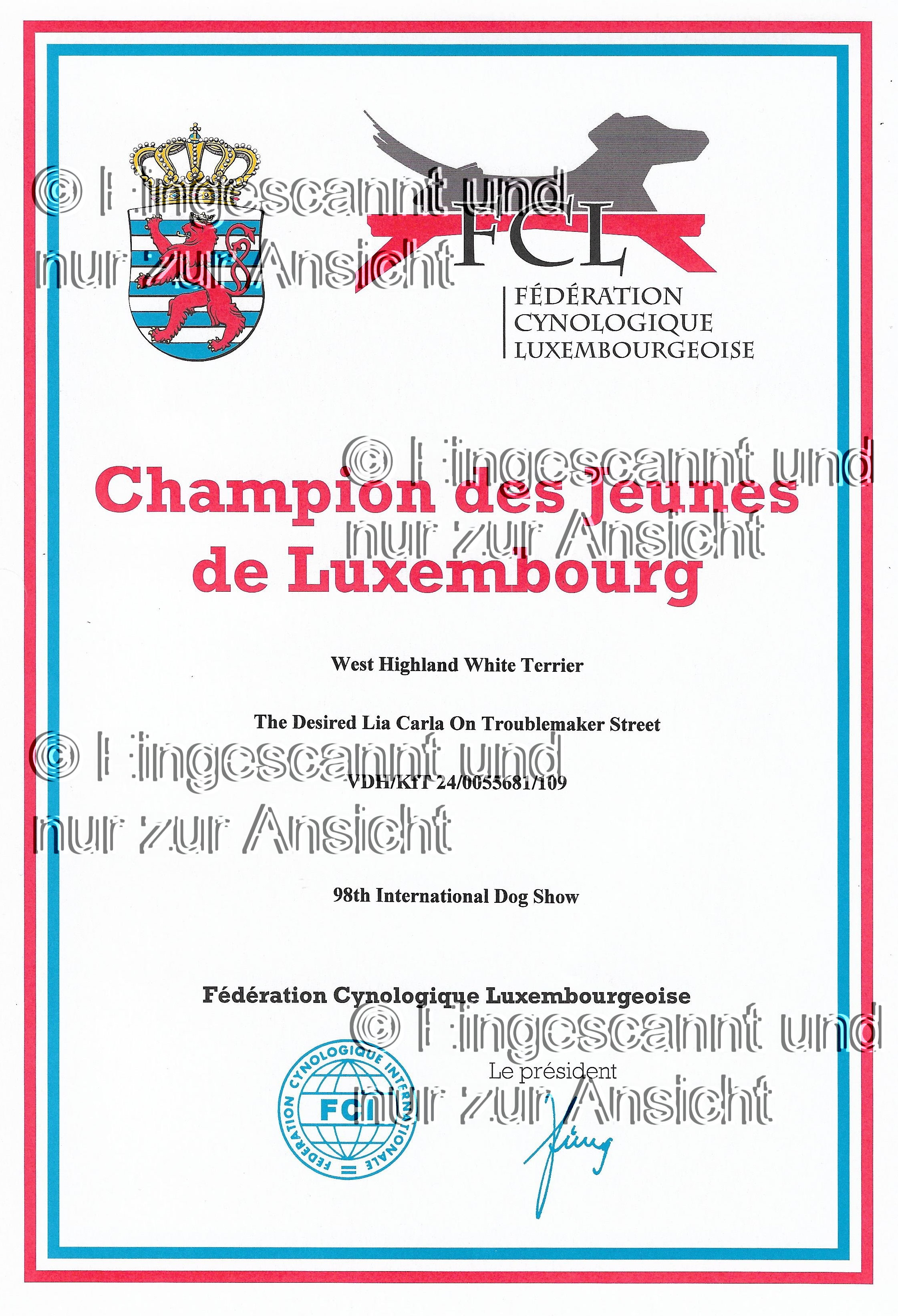 Jugendchampion Luxemburg