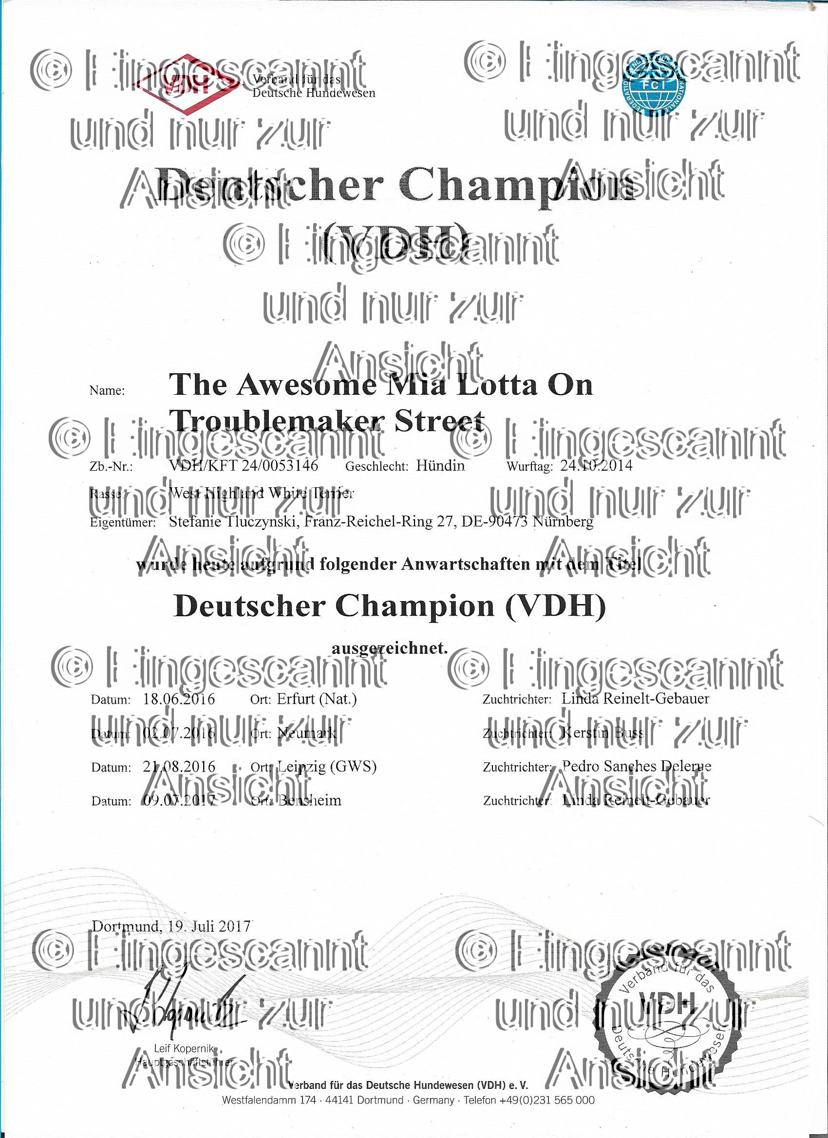 Deutscher Champion VDH