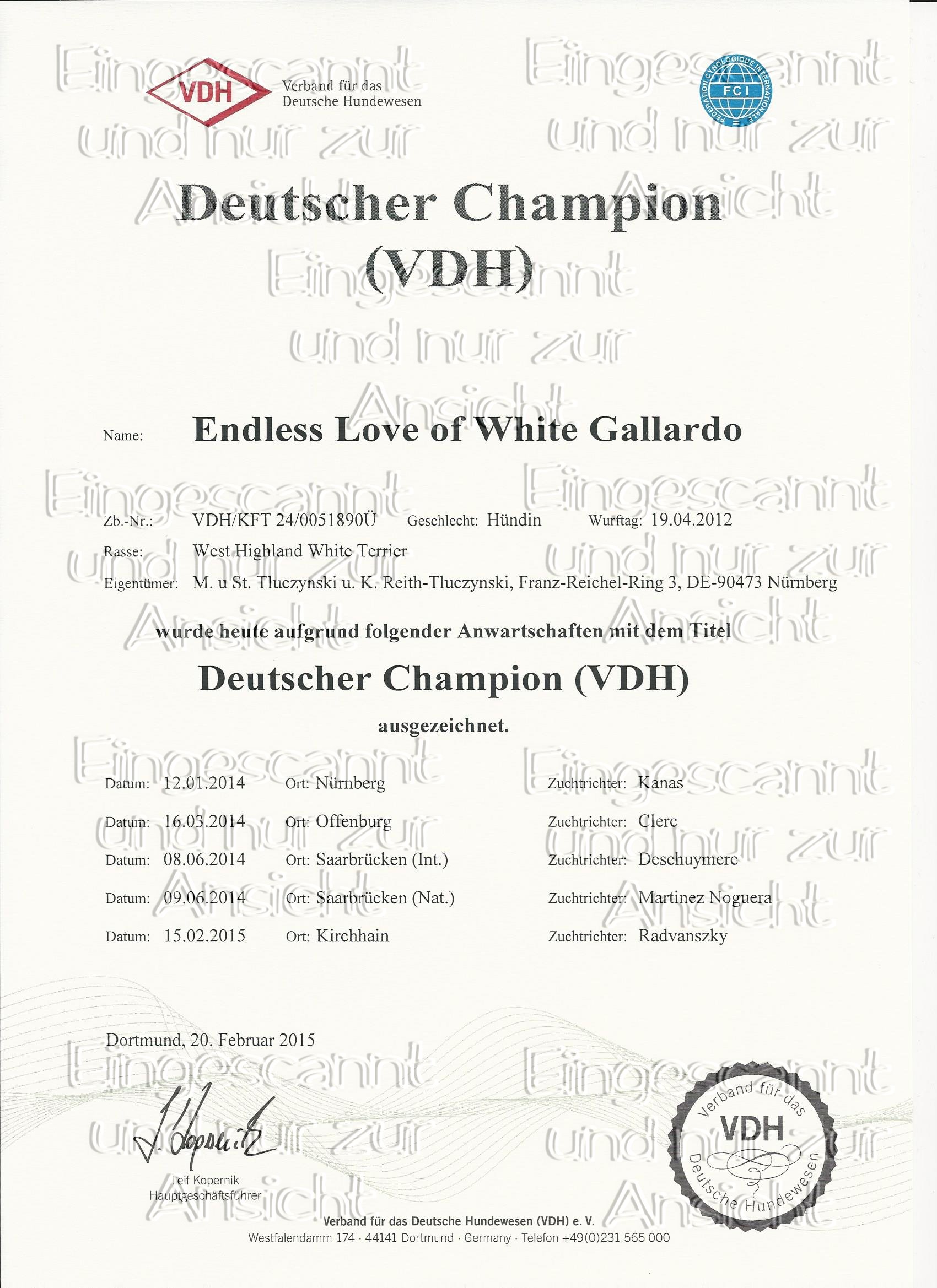 Deutscher Champion VDH