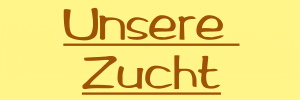 Unsere Zucht